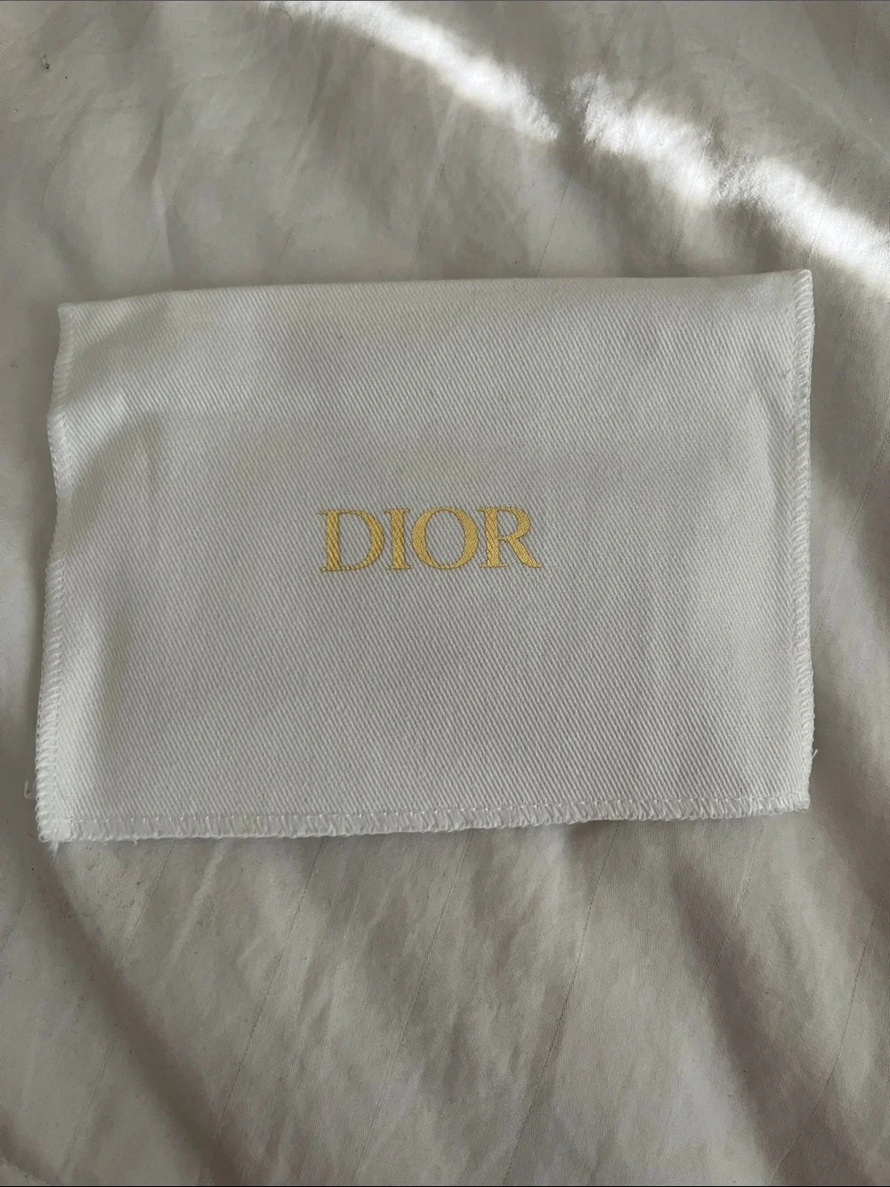 Dior blue leather